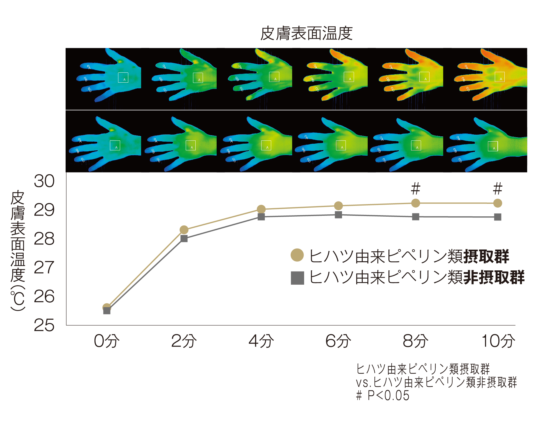 手の冷えを軽減するチカラの図