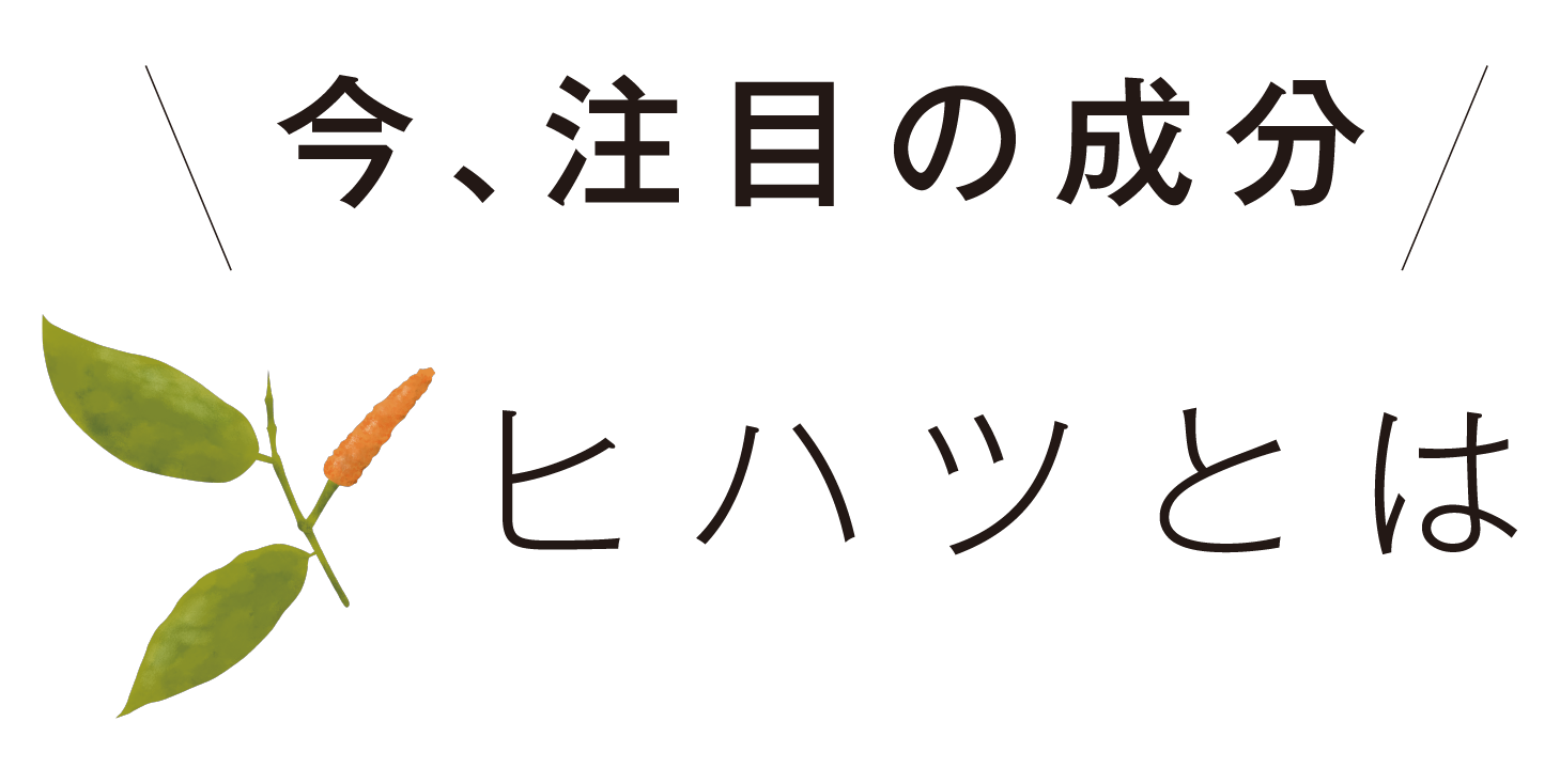 今注目の成分ヒハツとは