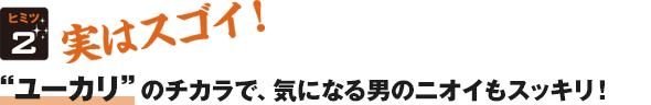 実はスゴイ!“ユーカリ”のチカラで、気になる男のニオイもスッキリ